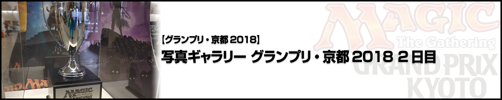 【ビデオカバレージ】写真ギャラリー グランプリ・京都2018 2日目