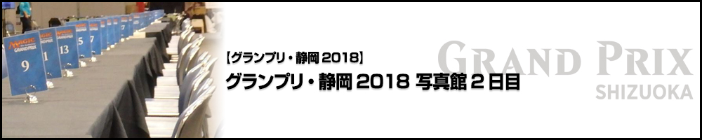 グランプリ・静岡2018 写真館2日目