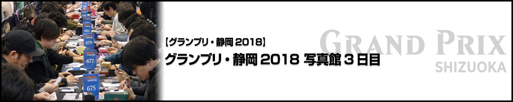 グランプリ・静岡2018 写真館3日目