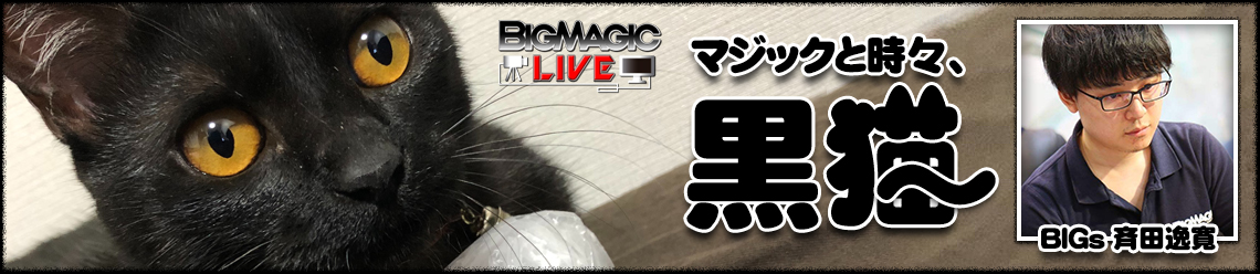 BIGs 斉田逸寛「マジックと時々、黒猫」