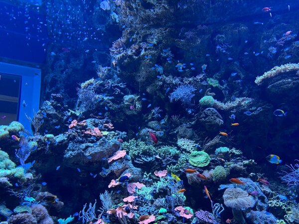 image6.jpg