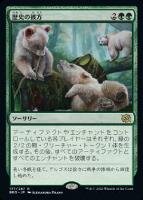 nakamichiBROs 24-6.jpg
