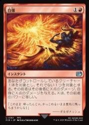 nakamichiFIN 35.jpg