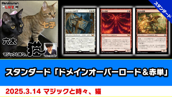 スタンダード「ドメインオーバーロード＆赤単」