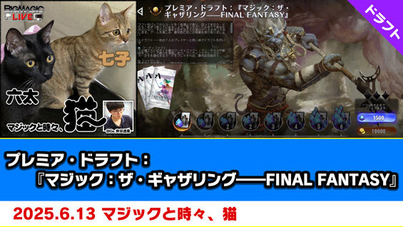 プレミア・ドラフトFINAL FANTASY