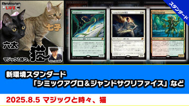 MTG 大量大幅割引！ BIGWEB | MTG】日本最大級の激安カードゲーム通販専門店