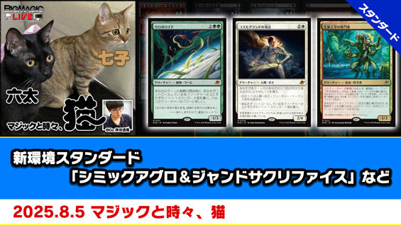 マジック：ザ・ギャザリング Takapon Amazon.co.jp: [マジックギャザリング]Magic: the Gathering