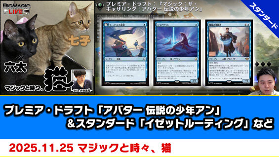 BIGWEB | MTG】日本最大級の激安カードゲーム通販専門店